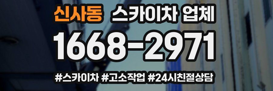 신사동 스카이차 업체