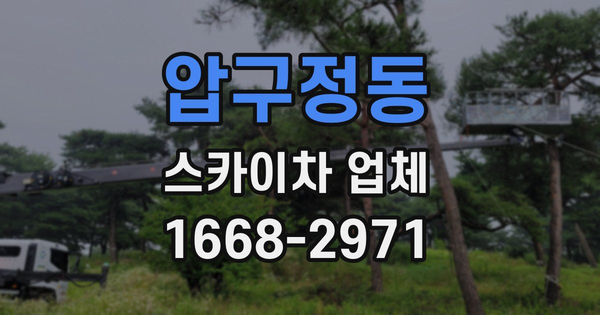 압구정동 스카이차 업체