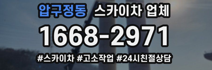 압구정동 스카이차 업체