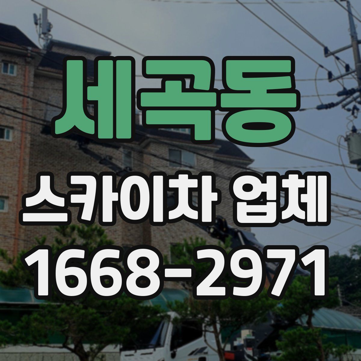세곡동 스카이차 업체