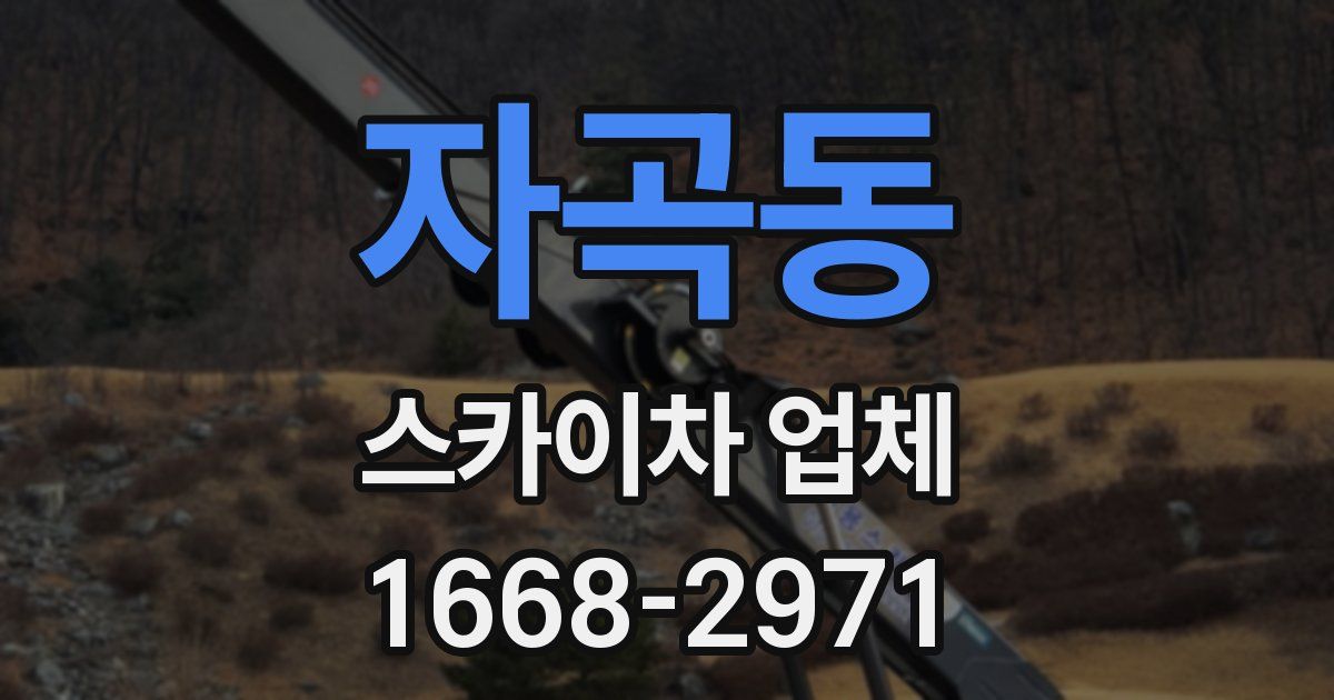 자곡동 스카이차 업체