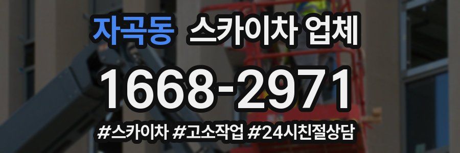 자곡동 스카이차 업체