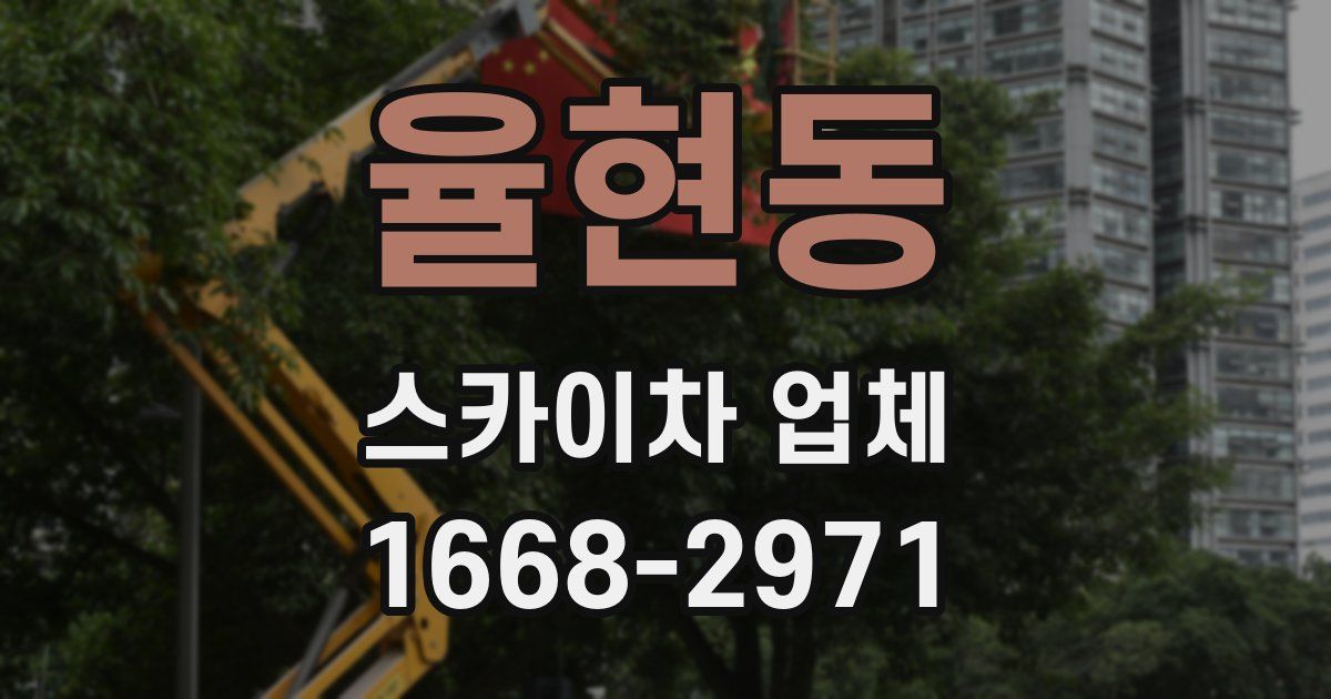 율현동 스카이차 업체