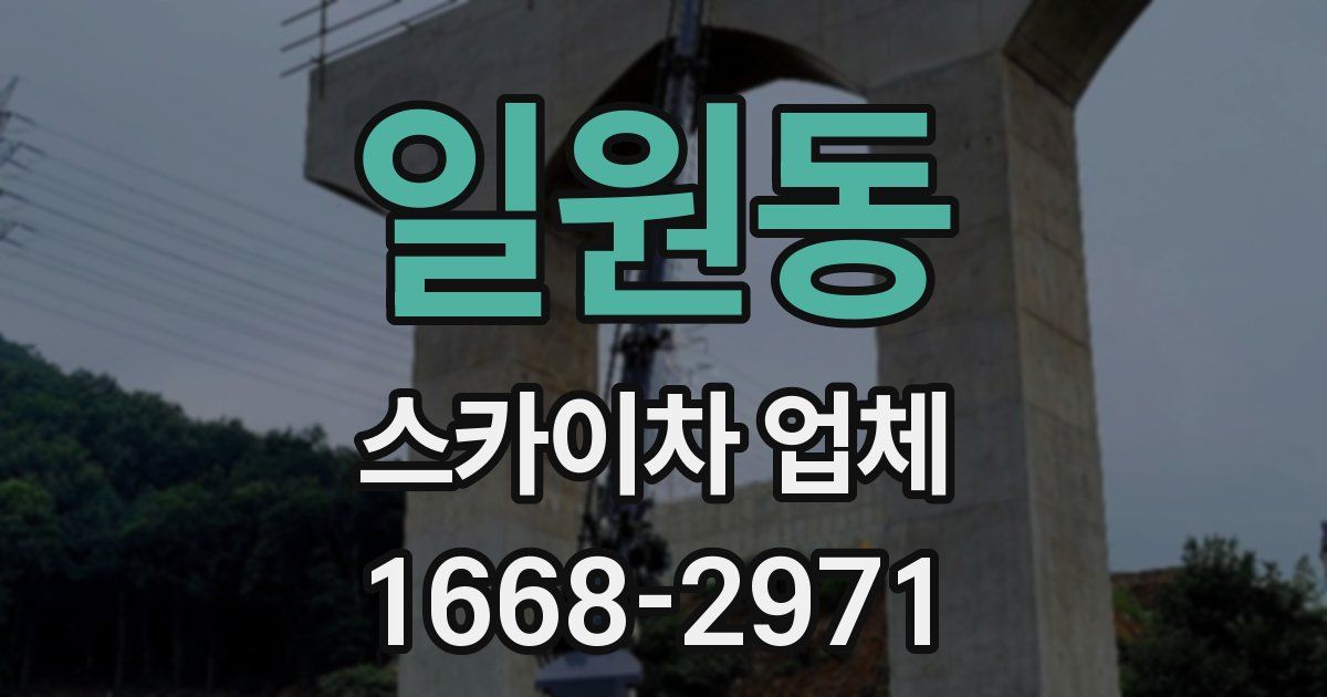 일원동 스카이차 업체