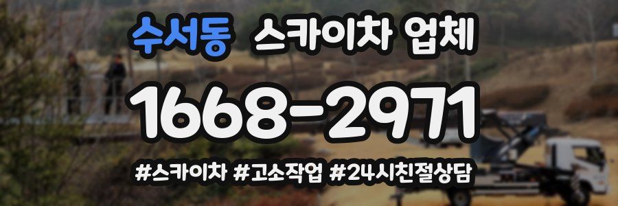 수서동 스카이차 업체