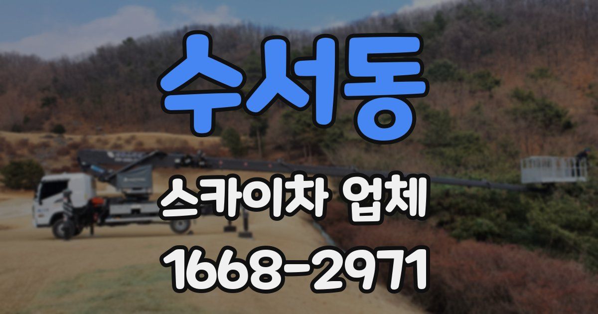 수서동 스카이차 업체