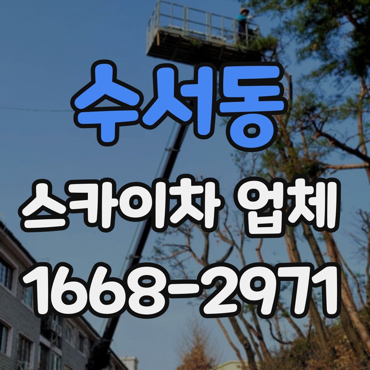 수서동 스카이차 업체