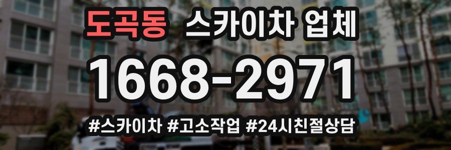 도곡동 스카이차 업체