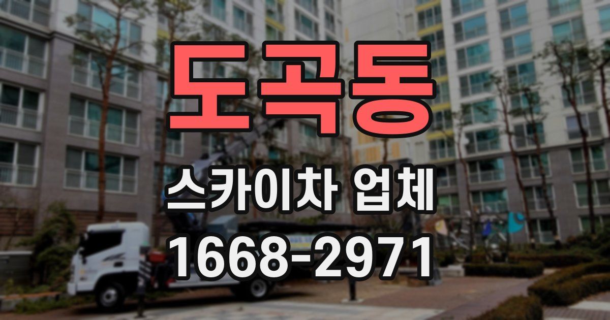 도곡동 스카이차 업체