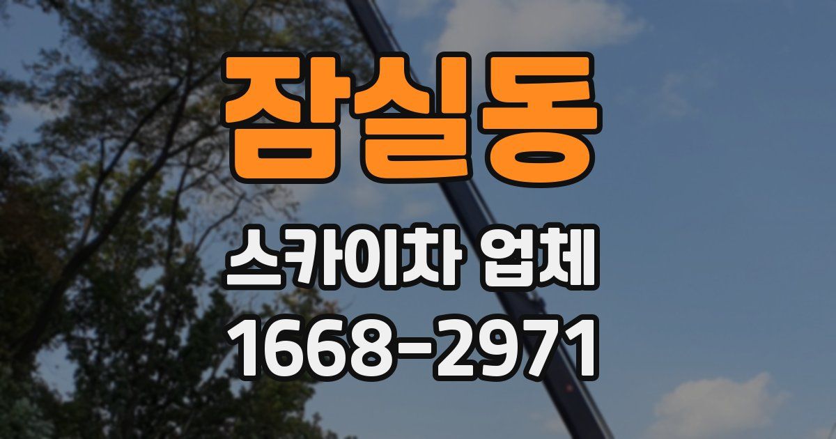 잠실동 스카이차 업체