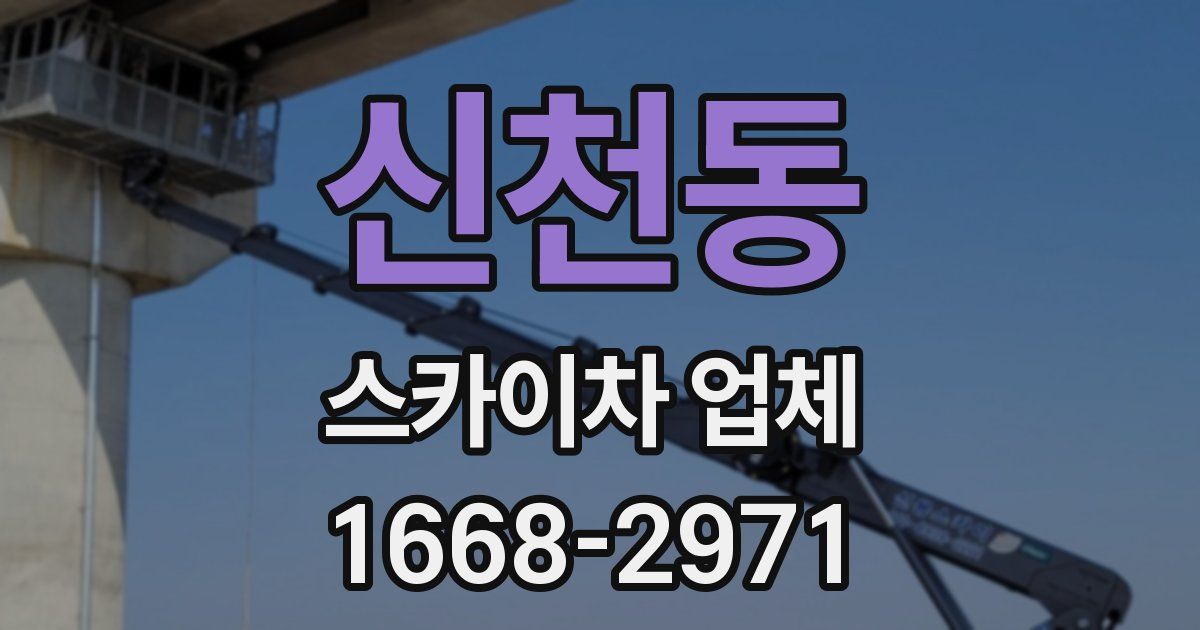 신천동 스카이차 업체