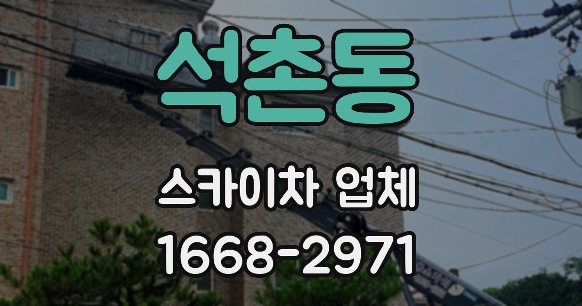 석촌동 스카이차 업체