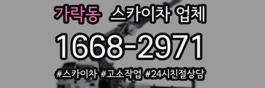가락동 스카이차 업체