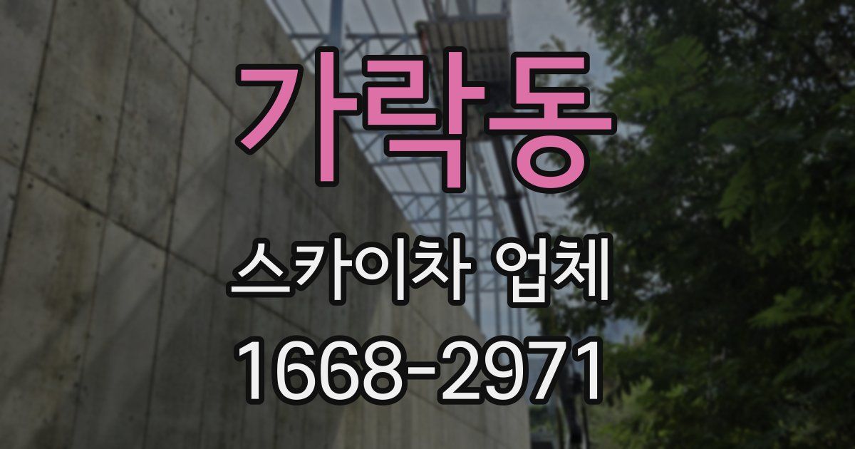 가락동 스카이차 업체