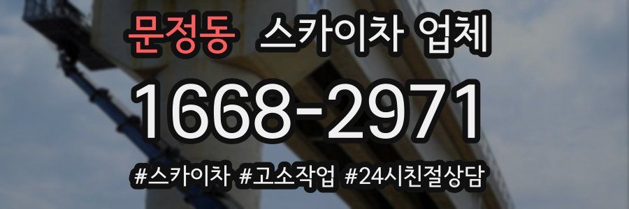 문정동 스카이차 업체