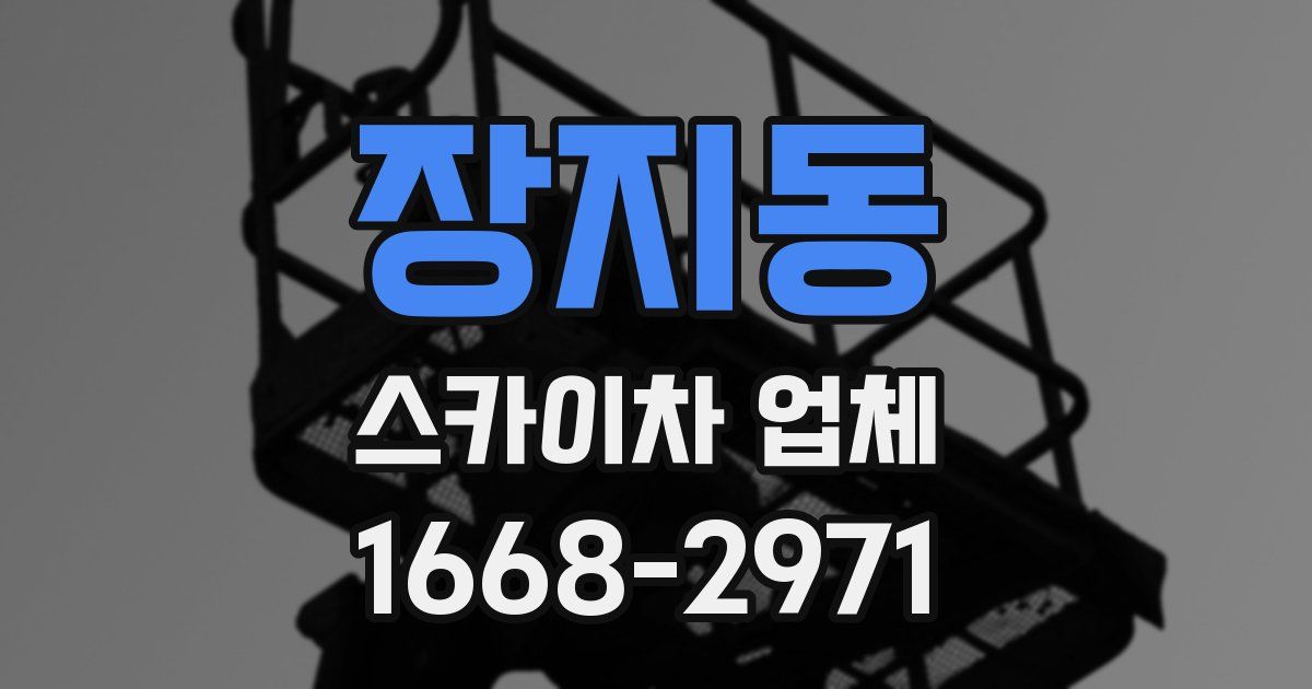 장지동 스카이차 업체