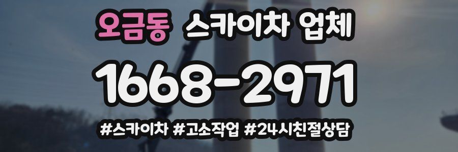 오금동 스카이차 업체
