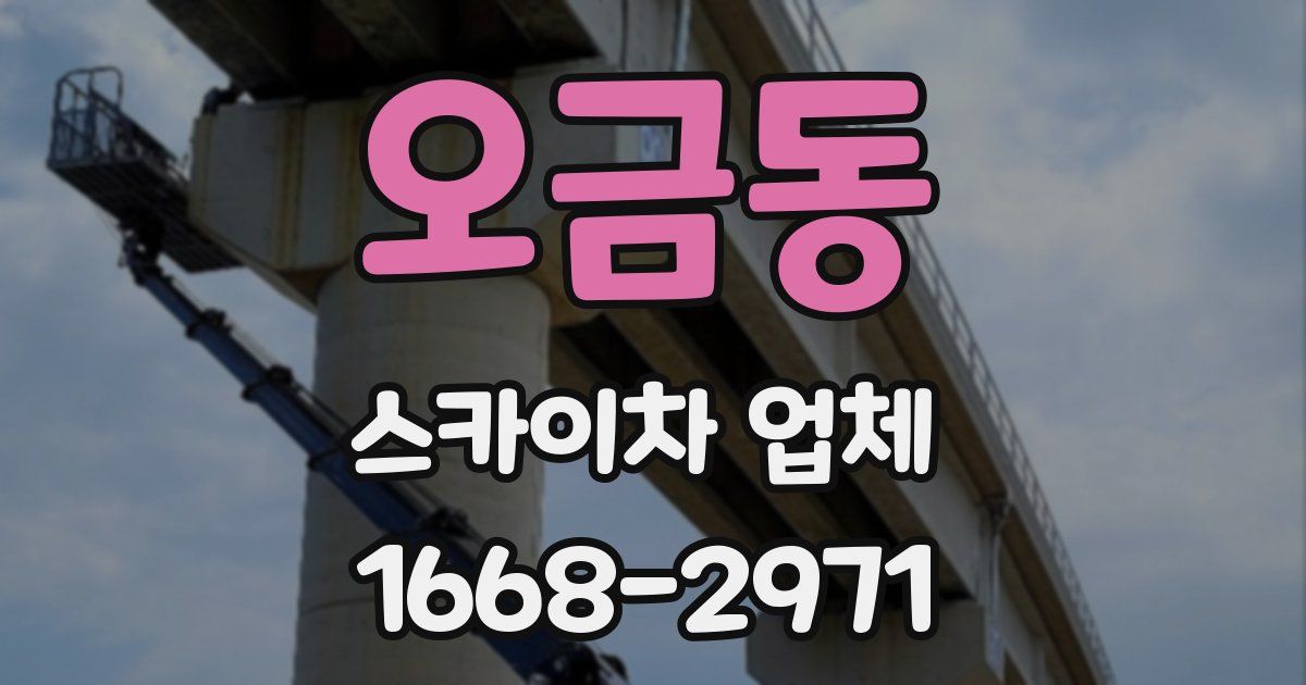 오금동 스카이차 업체