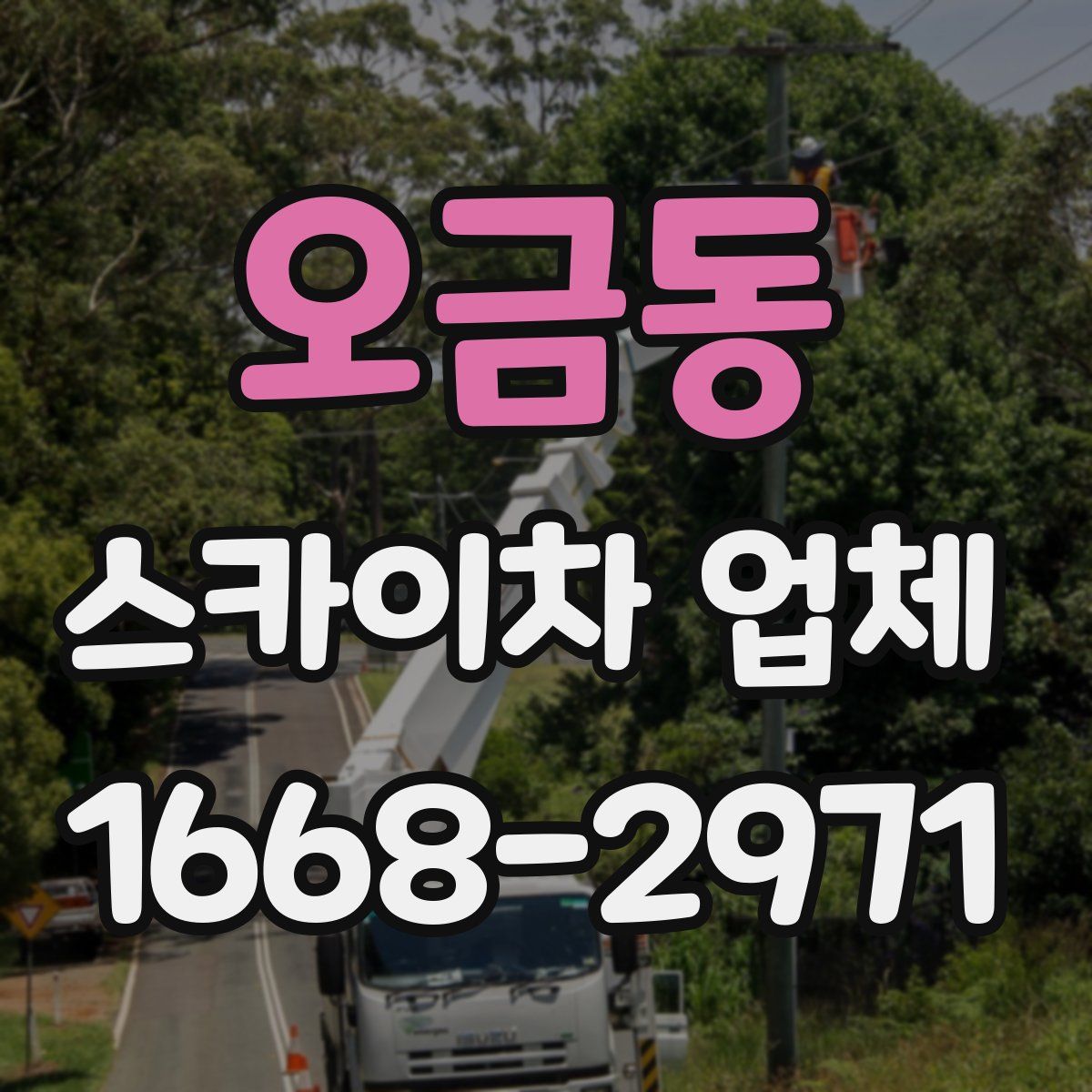 오금동 스카이차 업체