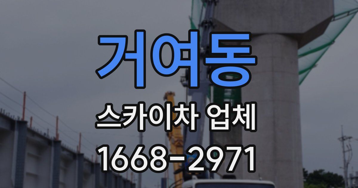 거여동 스카이차 업체
