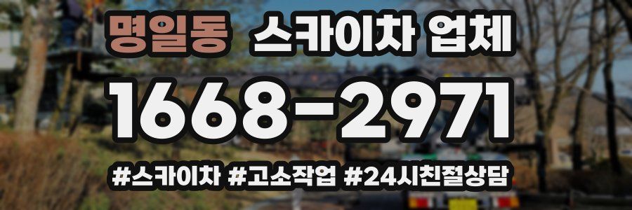 명일동 스카이차 업체