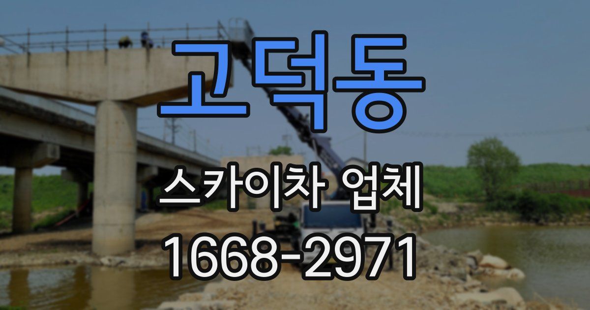 고덕동 스카이차 업체