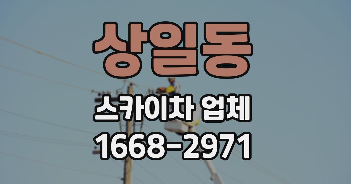 상일동 스카이차 업체