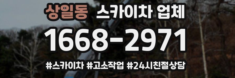 상일동 스카이차 업체