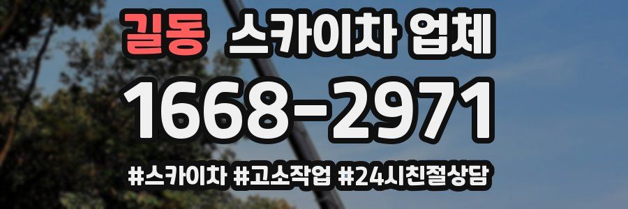 길동 스카이차 업체