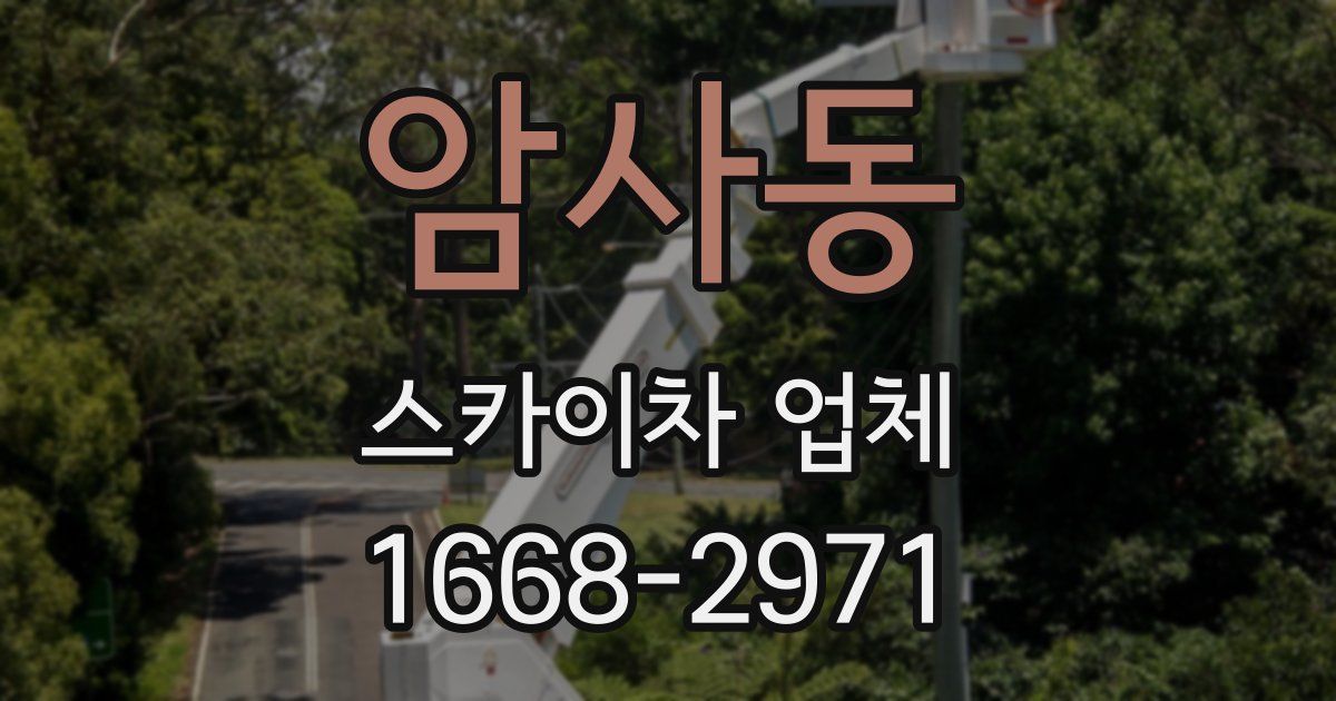 암사동 스카이차 업체