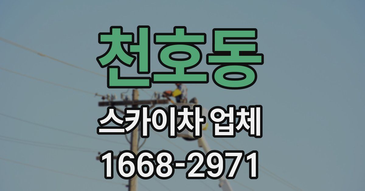 천호동 스카이차 업체