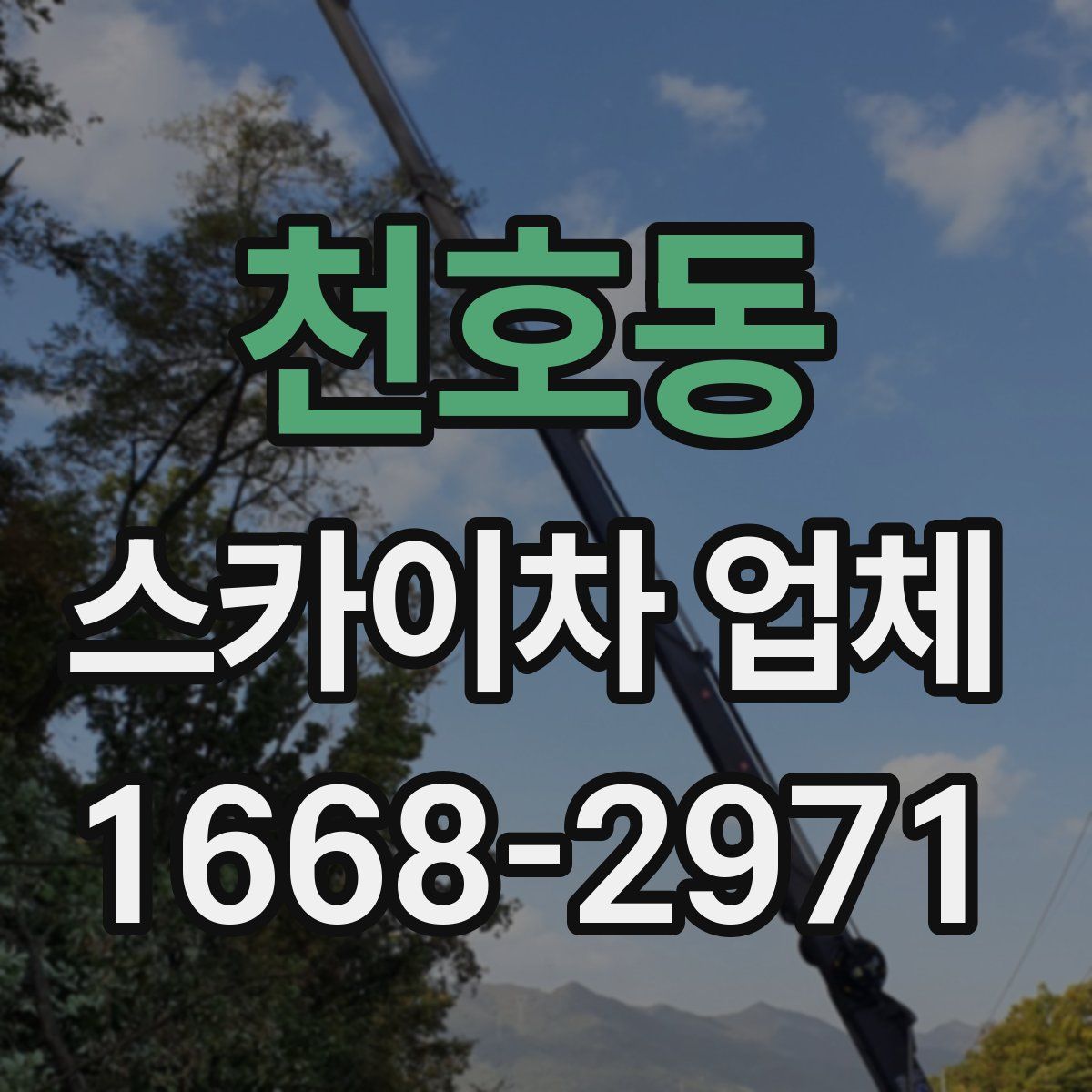 천호동 스카이차 업체