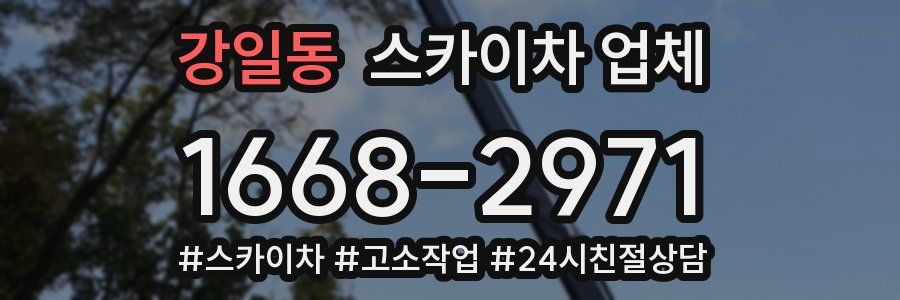 강일동 스카이차 업체