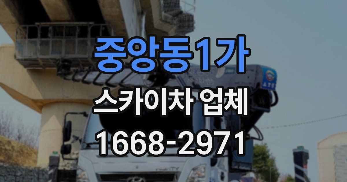 중앙동1가 스카이차 업체