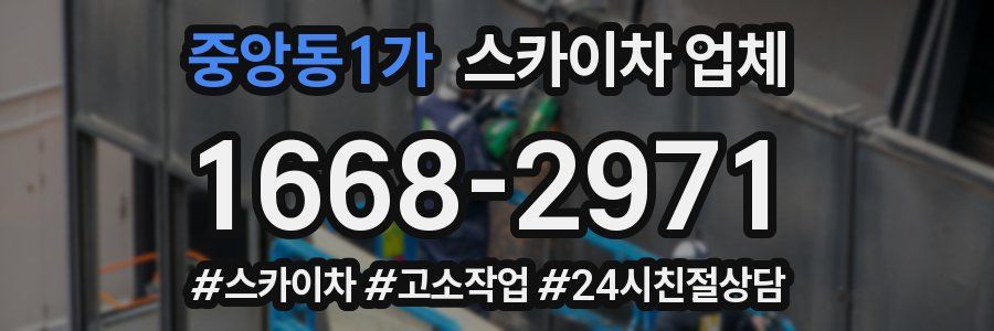 중앙동1가 스카이차 업체