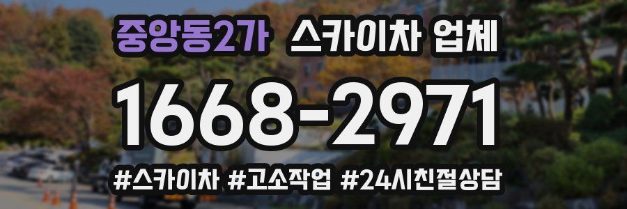 중앙동2가 스카이차 업체