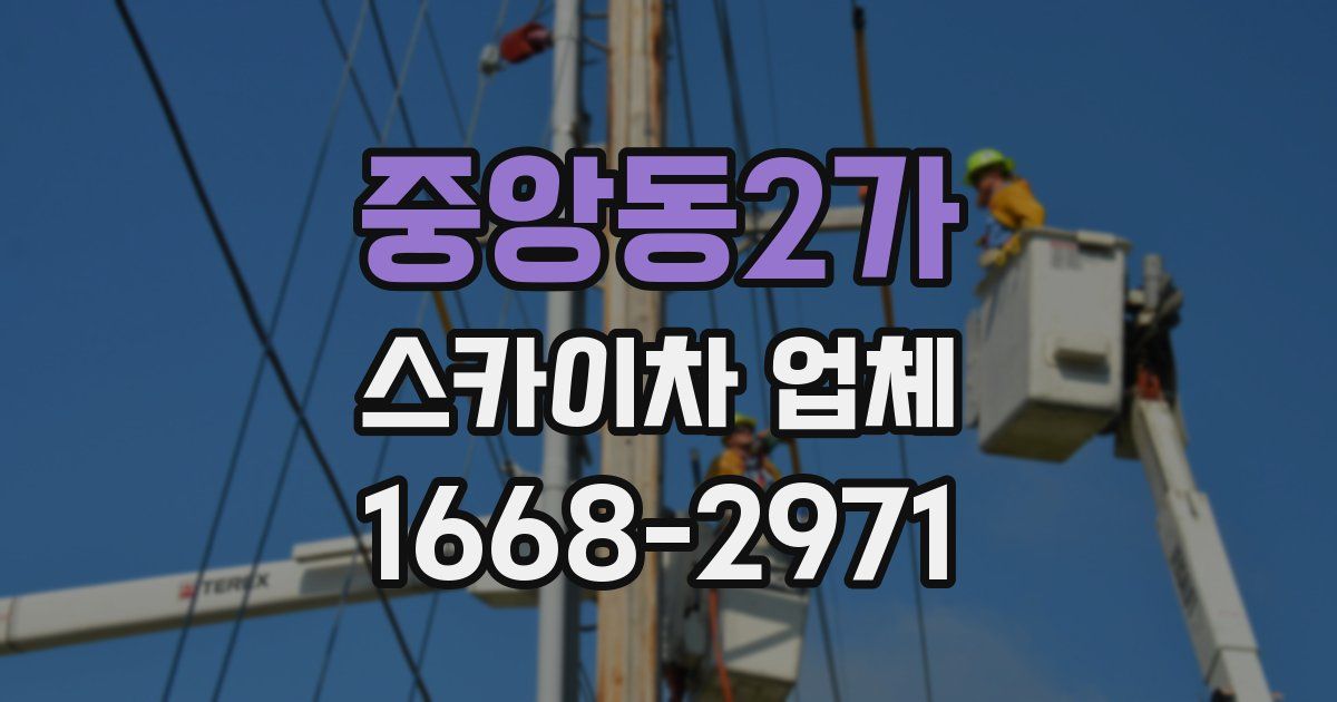 중앙동2가 스카이차 업체