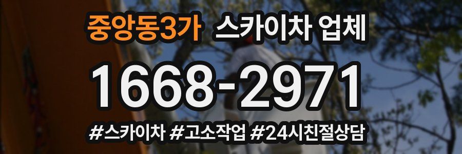 중앙동3가 스카이차 업체