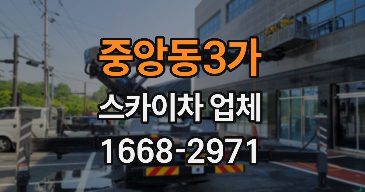 중앙동3가 스카이차 업체
