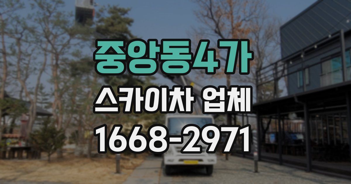 중앙동4가 스카이차 업체