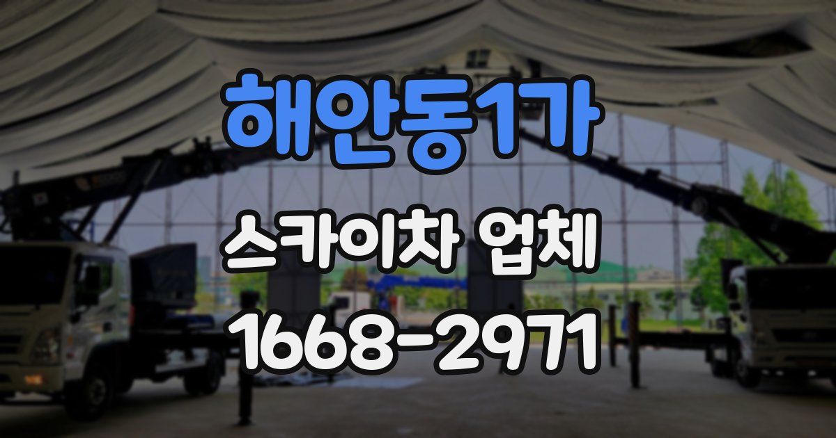 해안동1가 스카이차 업체