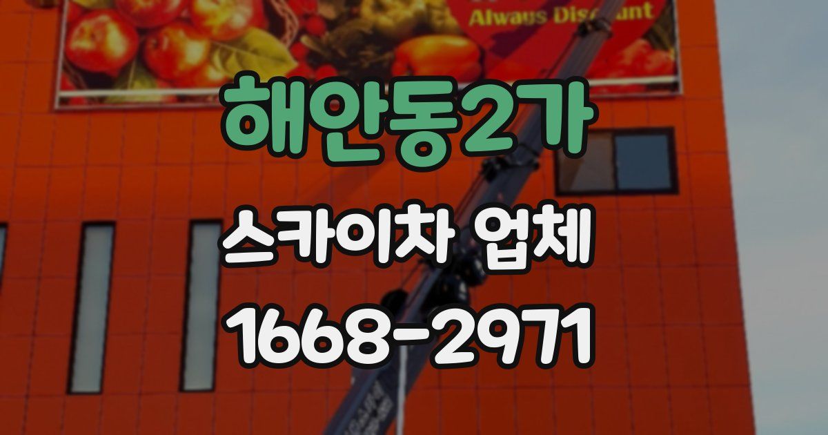 해안동2가 스카이차 업체