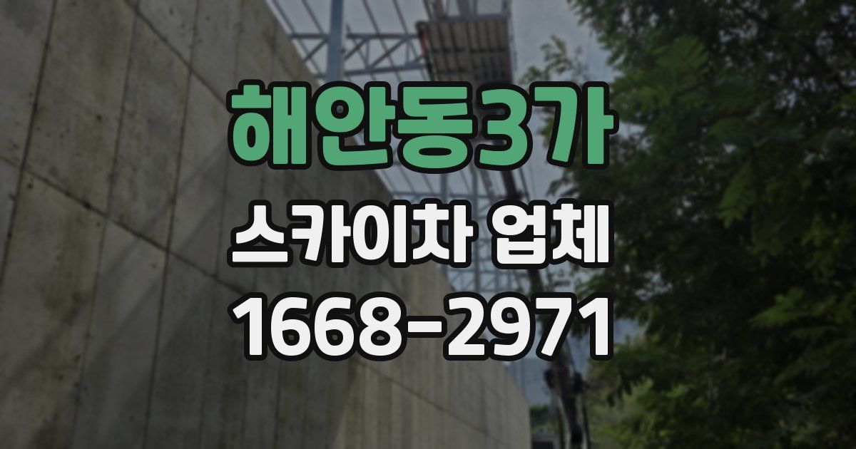 해안동3가 스카이차 업체