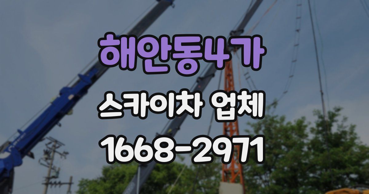 해안동4가 스카이차 업체
