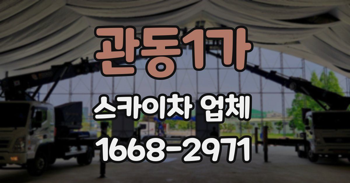 관동1가 스카이차 업체