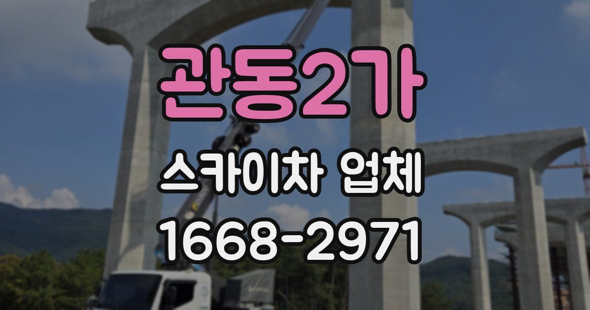 관동2가 스카이차 업체