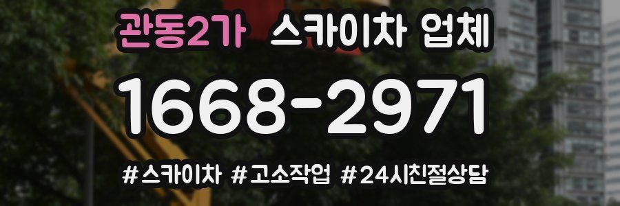 관동2가 스카이차 업체