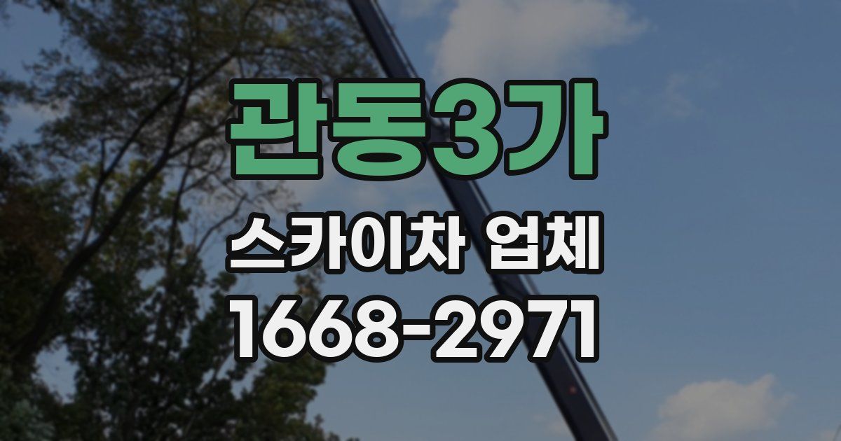관동3가 스카이차 업체