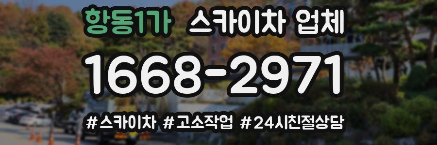 항동1가 스카이차 업체