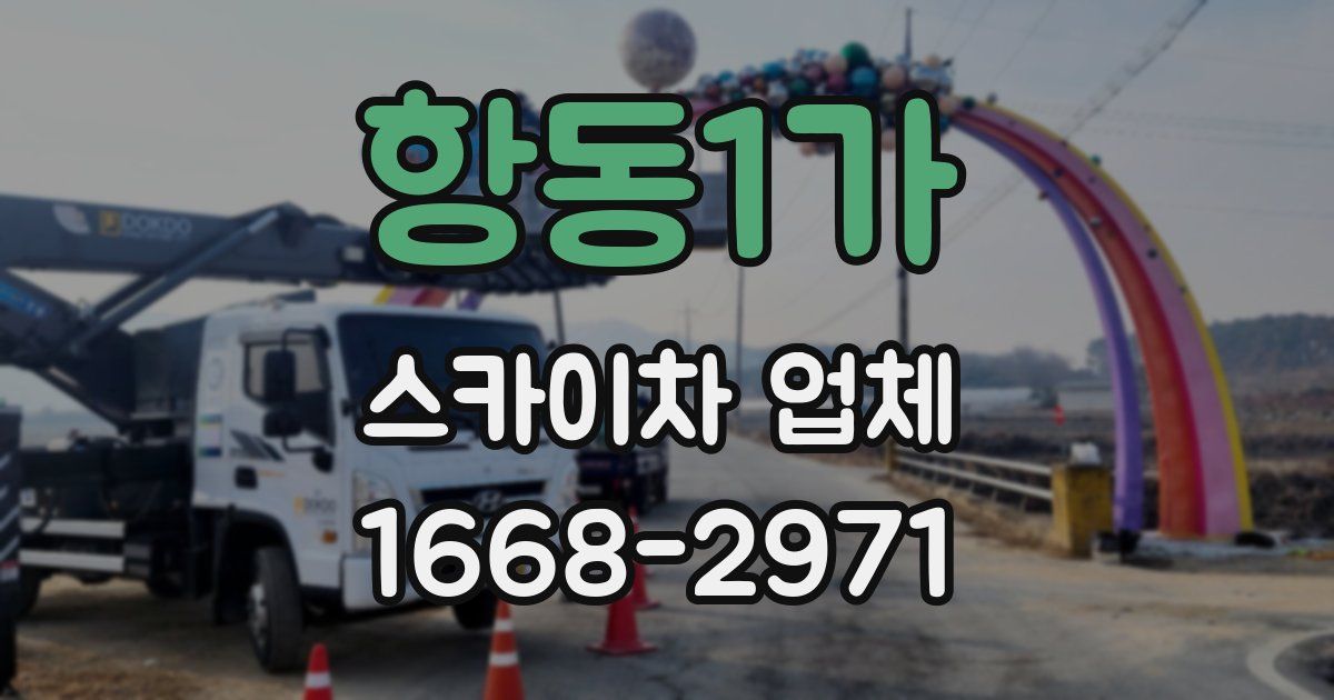 항동1가 스카이차 업체